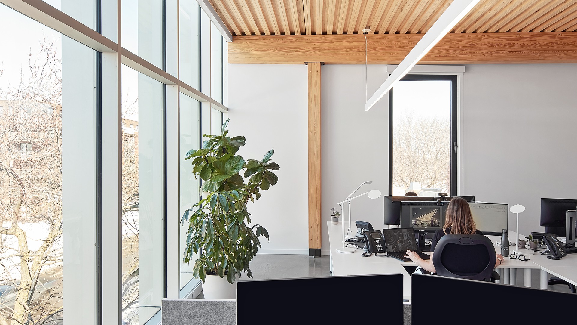New Sustainable Development Policy, Vélo Québec Recognition, and Carbon-Neutral Report