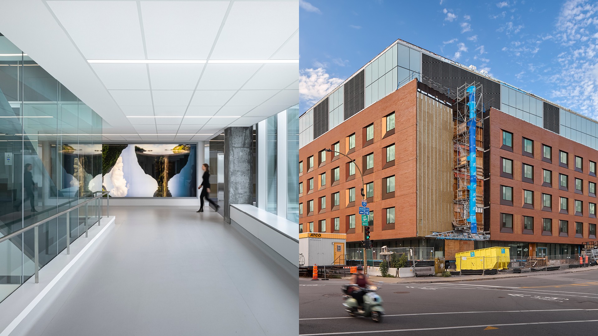 Celebrating our expertise in healthcare this June